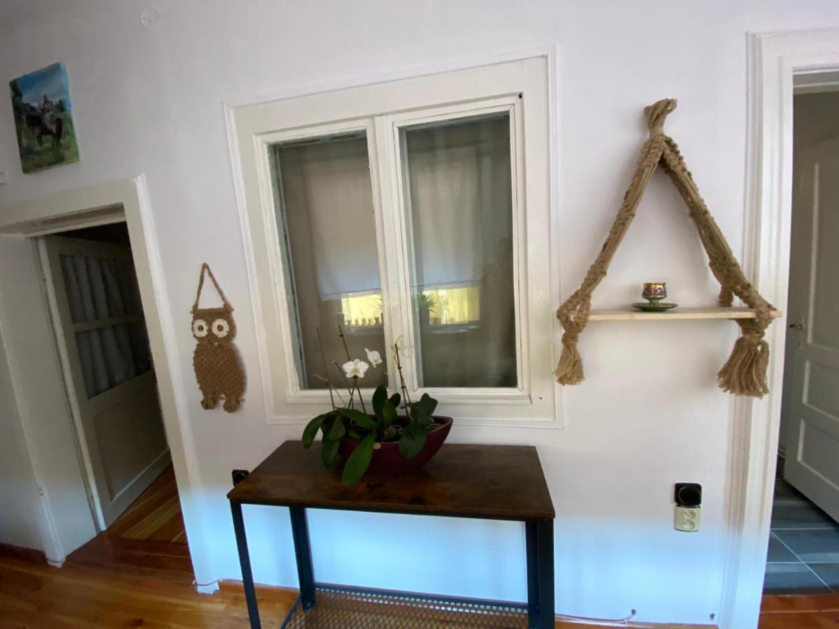 Home Of Art Rîşnov Exteriör bild